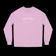 Load image into Gallery viewer, Vintage Explorer Crew Neck Sweatshirt